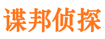 尼玛市调查公司